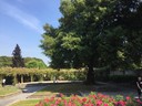 Walled garden 
