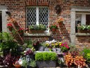 Wells House - Flower Shop